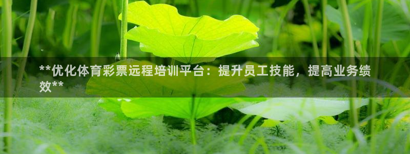 耀世娱乐几6.7.5.1.3.8：**优化体育彩票远程培训平