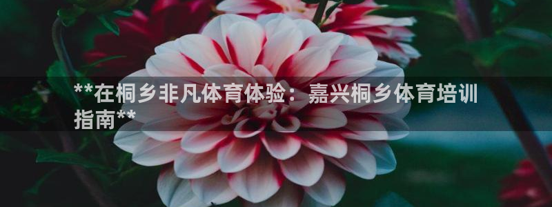 耀世娱乐辅助软件下载安卓：**在桐乡非凡体育体验：嘉