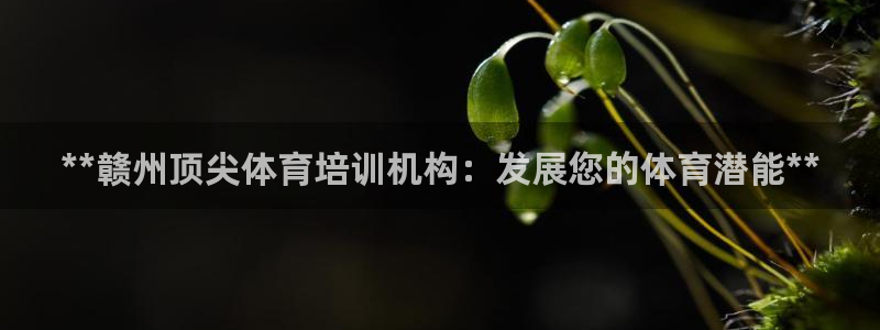 耀世集团董事长：**赣州顶尖体育培训机构：发展您的体
