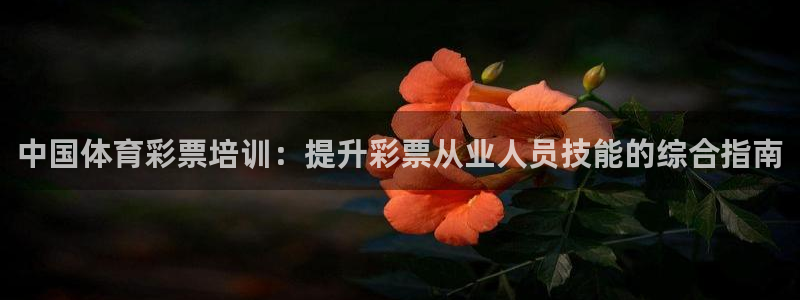 耀世国际平台正规吗可靠吗：中国体育彩票培训：提升彩票
