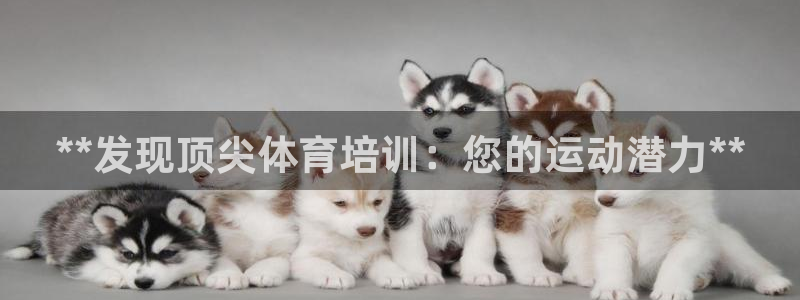 耀世娱乐平台注册地址在哪里看：**发现顶尖体育培训：