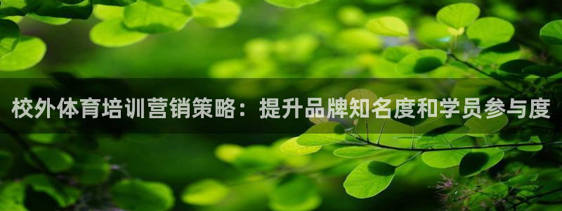 耀世盛典手游下载官网：校外体育培训营销策略：提升品牌