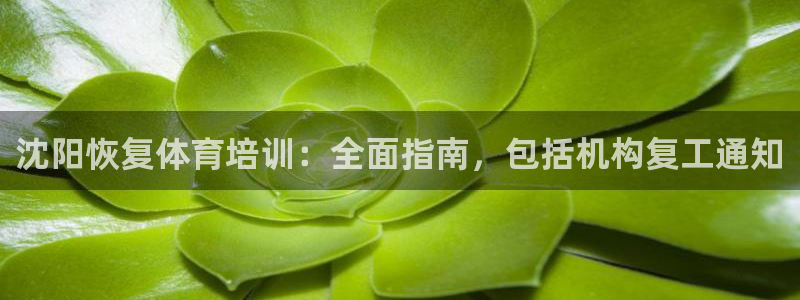 耀世平台注册步骤图片：沈阳恢复体育培训：全面指南，包