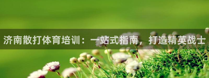 耀世娱乐是正规还是仿真：济南散打体育培训：一站式指南
