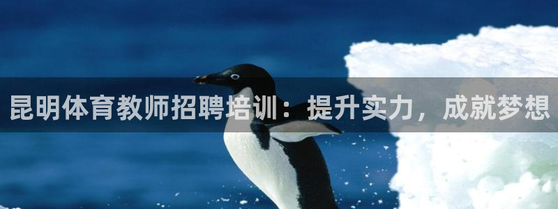 耀世娱乐是正规还是仿真：昆明体育教师招聘培训：提升实