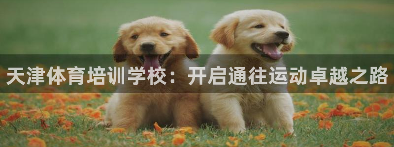 耀世娱乐平台注册地址在哪里查：天津体育培训学校：开启