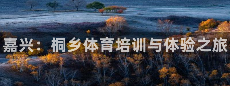 耀世国际平台正规吗可靠吗可信吗