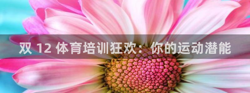耀世启航什么意思：双 12 体育培训狂欢：你的运动潜