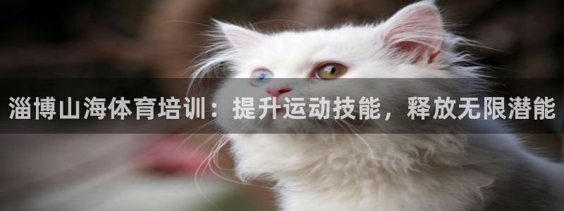 耀世娱乐官方网站：淄博山海体育培训：提升运动技能，释放无限潜