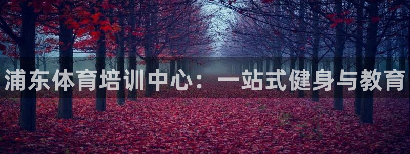 耀世集团视频介绍下载