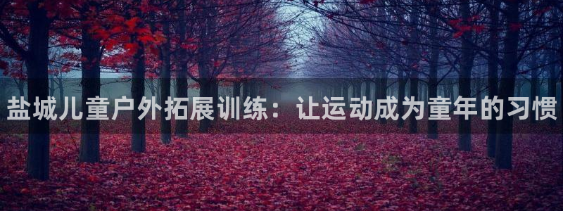 耀世娱乐提款多久到账啊：盐城儿童户外拓展训练：让运动成为童年