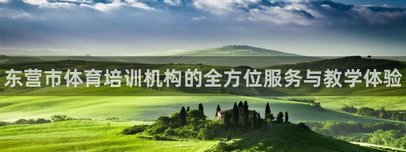 耀世登场的近义词：东营市体育培训机构的全方位服务与教