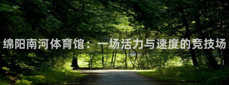 耀世娱乐提款多久到账户：绵阳南河体育馆：一场活力与速