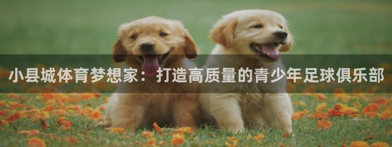耀世娱乐挂机教程视频：小县城体育梦想家：打造高质量的