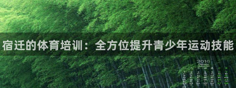 耀世娱乐官网网站首页：宿迁的体育培训：全方位提升青少年运动技