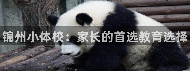 耀世娱乐如何登录账号密码