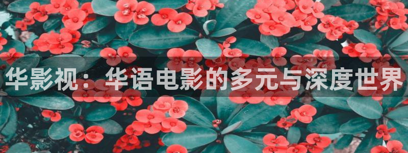 123平民影院