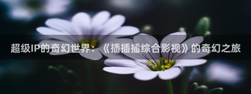 平民影院在线观看高清完整版免
